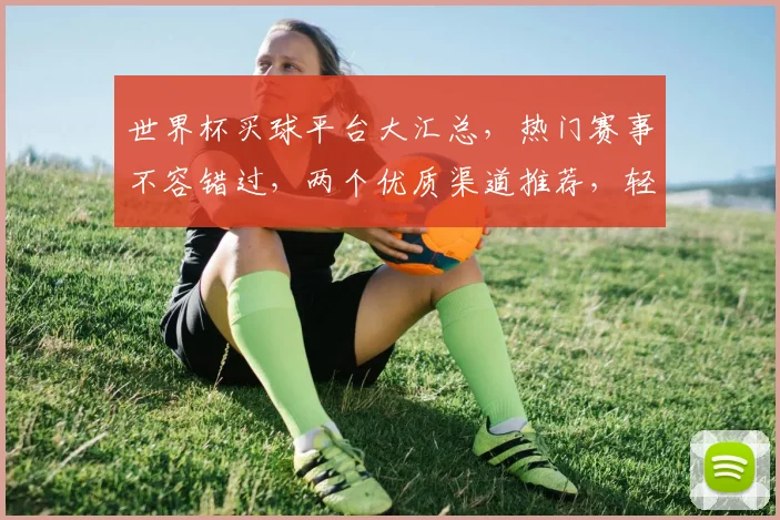 世界杯买球平台大汇总，热门赛事不容错过，两个优质渠道推荐，轻松购球