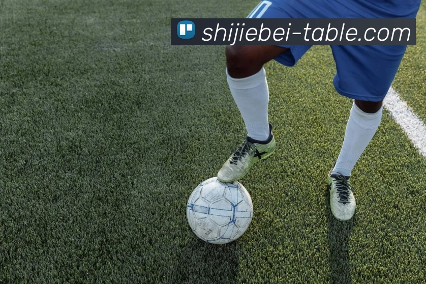 世界杯4强服务体系